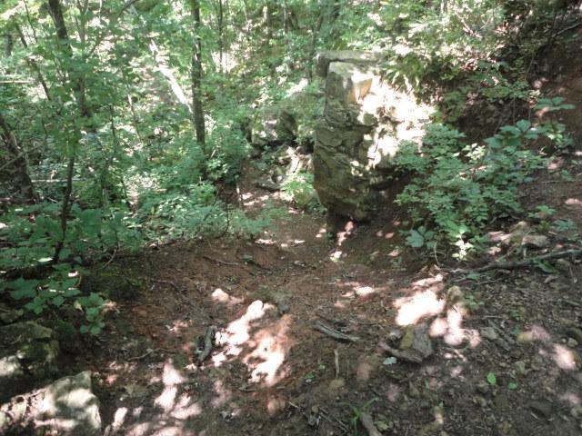 A forested area with dense green foliage, featuring a rocky outcrop on the right. The ground is covered with dirt and small rocks, and sunlight filters through the leaves, casting dappled shadows on the path. Rotary Vista mountain bike trail.