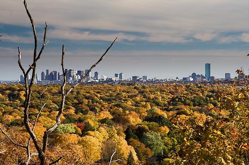 A panoramic view of a vibrant autumn landscape featuring a city skyline in the background. The foreground is filled with trees displaying golden, orange, and red foliage, while the horizon showcases tall buildings under a partly cloudy sky. Horn Pond mountain bike trail.