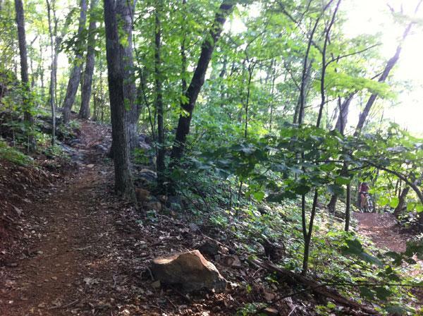 A winding dirt path through a lush green forest, surrounded by tall trees and dense foliage. Sunlight filters through the leaves, illuminating the trail and creating a serene atmosphere. A rocky area is visible alongside the path, adding to the natural landscape. Rocky Knob Park mountain bike trail.