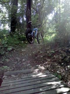 A blue mountain bike resting on a narrow wooden bridge, surrounded by lush greenery and trees, with sunlight filtering through the leaves. Belmont Conservation mountain bike trail.