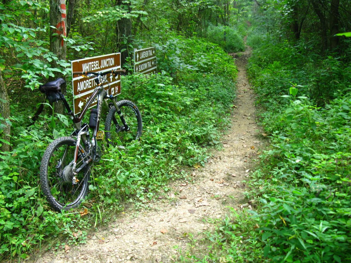 A mountain bike is parked next to a trail sign indicating directions to Whiteseal Junction and Amoretto Trail, surrounded by lush greenery and a narrow dirt path leading deeper into the woods. Strouds Run State Park mountain bike trail.