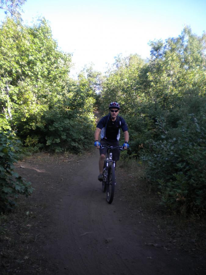 A cyclist riding on a dirt trail surrounded by lush greenery and trees. The person is wearing a helmet, sunglasses, and blue gloves, demonstrating an active outdoor lifestyle. Sardine Peak Loop mountain bike trail.