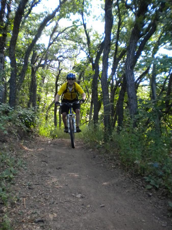 A person riding a mountain bike on a trail surrounded by tall trees and greenery, with sunlight filtering through the leaves. The cyclist is in motion, navigating a dirt path in a forested area. Sardine Peak Loop mountain bike trail.