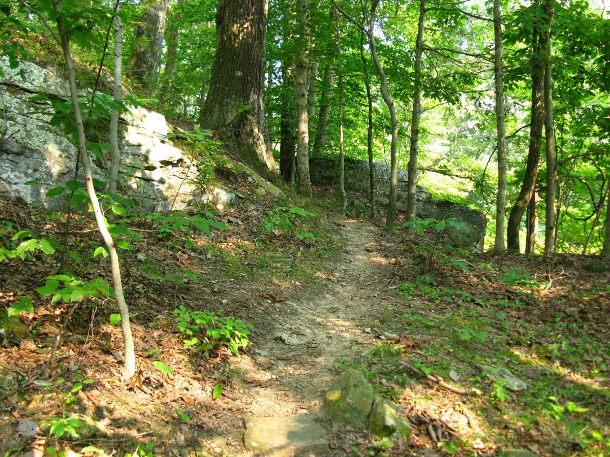 A winding dirt path through a lush forest, surrounded by green foliage and tall trees. Visible rock formations and scattered dry leaves line the trail, inviting exploration in a tranquil natural setting. Strouds Run State Park mountain bike trail.