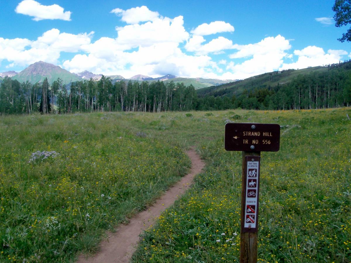 A scenic view of a grassy trail leading to Strand Hill, marked by a brown sign indicating “Strand Hill Trail No. 556,” with colorful wildflowers in the foreground and mountains in the background under a partly cloudy blue sky. Strand Hill mountain bike trail.