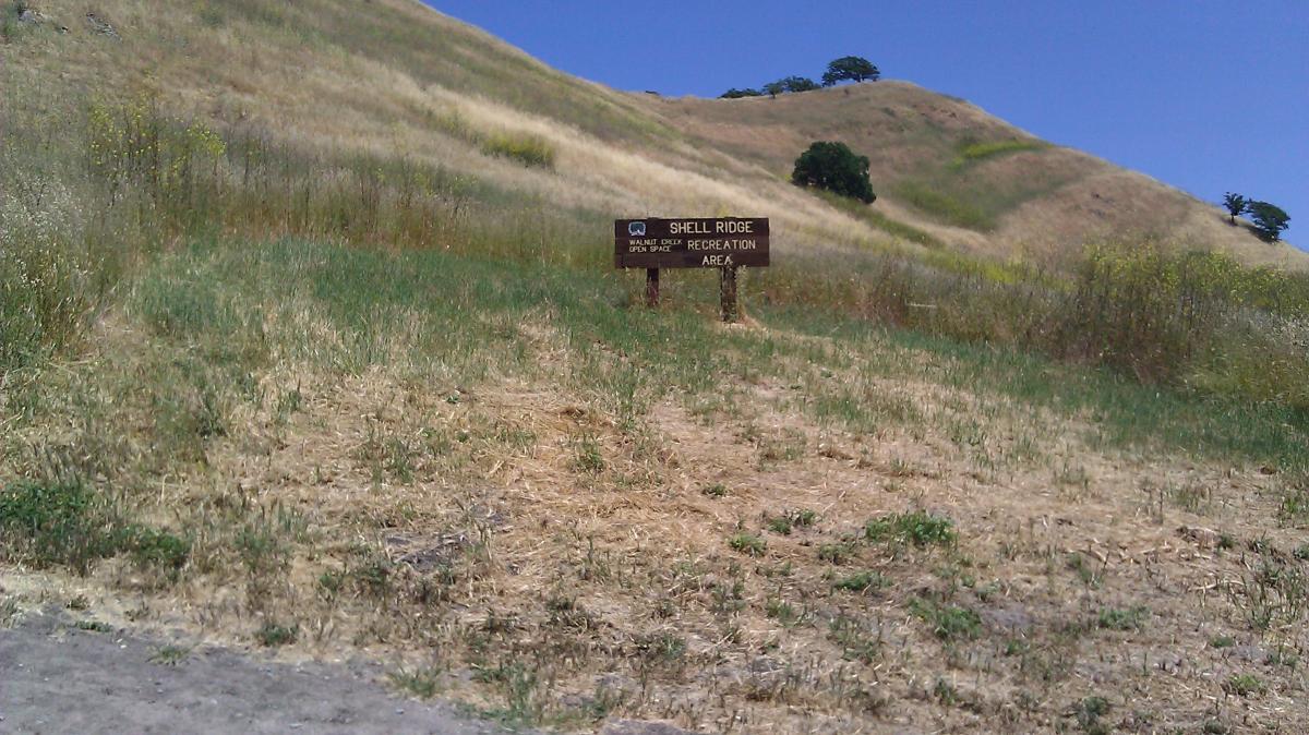 A sign for Shell Ridge Recreational Area, surrounded by grassy hills under a clear blue sky. The sign indicates that the area is part of Walnut Creek's open space. Shell Ridge Open Space mountain bike trail.