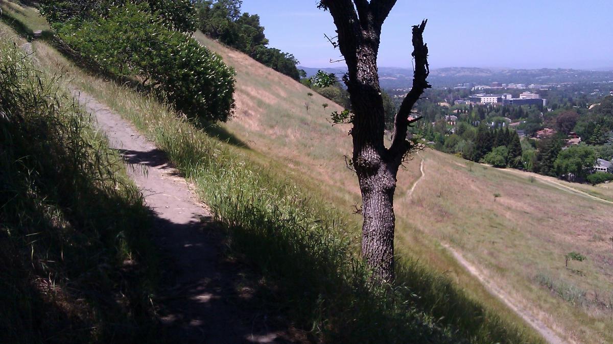 A winding dirt path bordered by tall grass leads along a hillside with a partially bare tree on the left. In the distance, a suburban landscape is visible with buildings and greenery under a clear blue sky. Shell Ridge Open Space mountain bike trail.