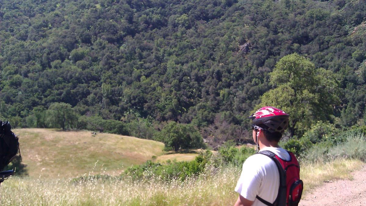 A person wearing a red cycling helmet stands on a trail overlooking a lush green valley and forested hillside. The scene features a mix of trees and shrubbery, with a grassy clearing in the foreground. Sunol Regional Wilderness mountain bike trail.
