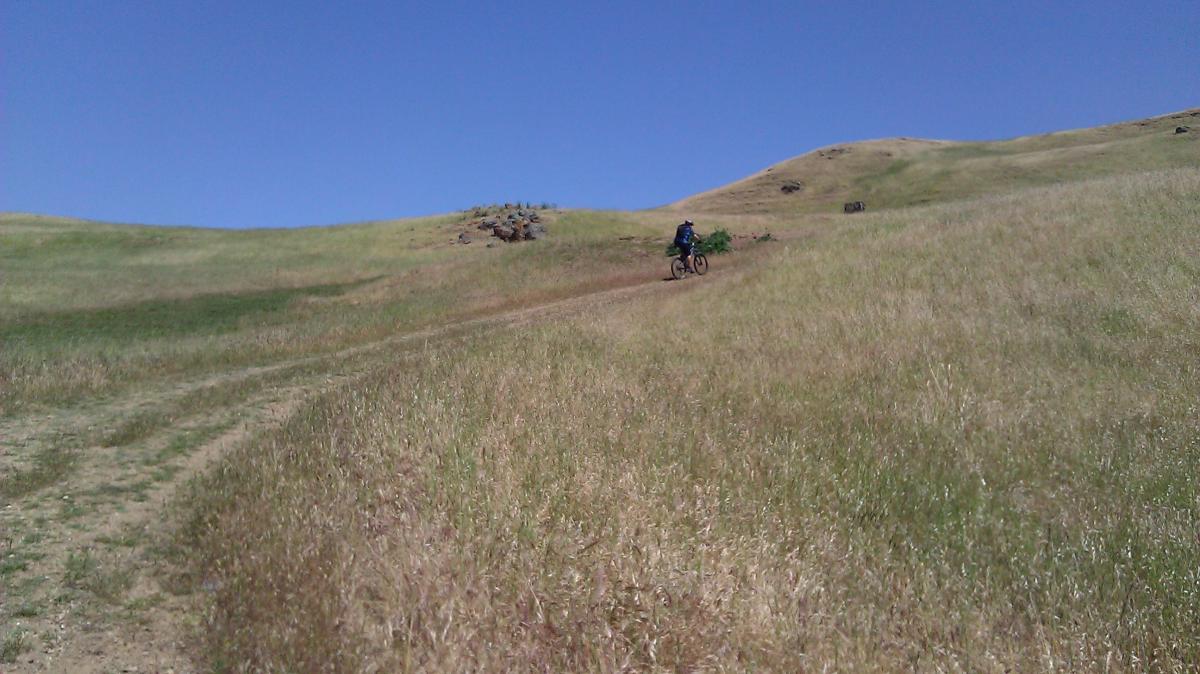 A person riding a mountain bike up a grassy hill under a clear blue sky. The landscape features rolling hills with patches of dry grass and rocky outcroppings. Sunol Regional Wilderness mountain bike trail.