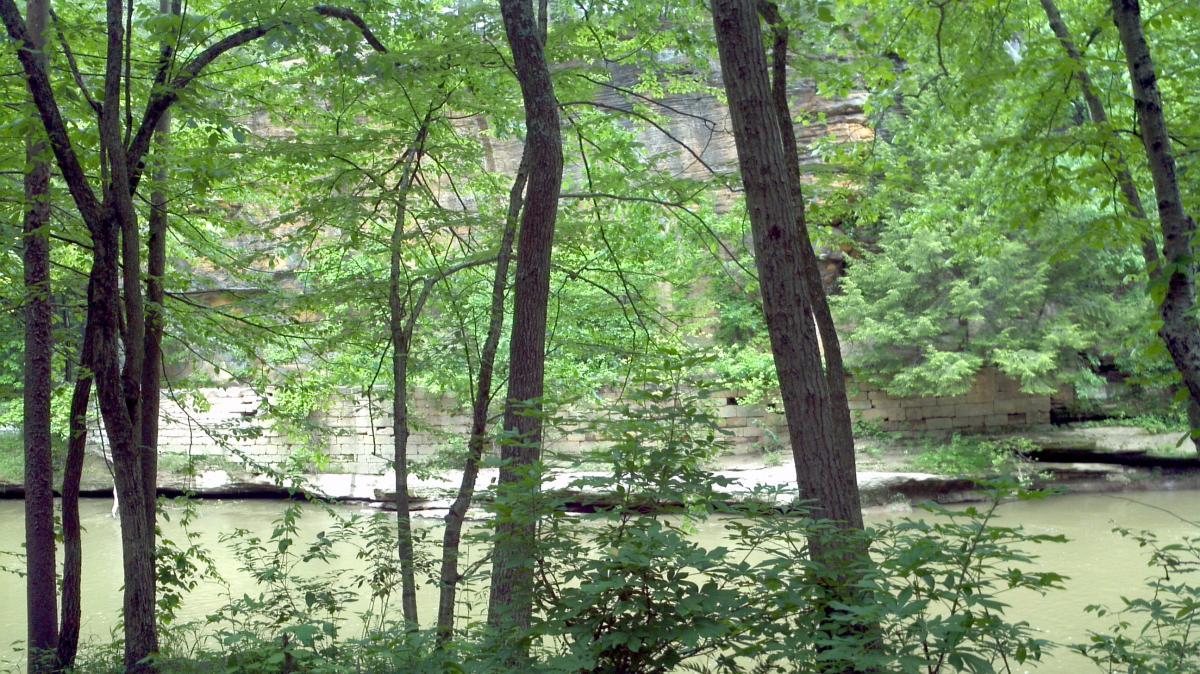 A serene scene depicting a lush, green forest with multiple trees surrounding a calm river. In the background, a rocky cliff can be seen partially obscured by foliage, creating a natural, tranquil atmosphere. Blackhand Gorge mountain bike trail.
