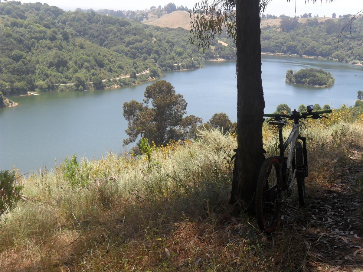 A mountain bike resting against a tree, overlooking a scenic lake surrounded by lush green hills and trees under clear blue skies. Anthony Chabot Regional Park mountain bike trail.