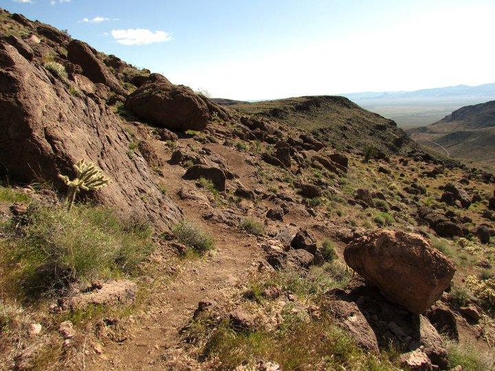 A rugged, rocky hillside with a winding dirt path leading through sparse vegetation. The landscape features large boulders, scattered shrubs, and low grasses under a clear blue sky. Rolling hills and distant mountains can be seen in the background, suggesting a vast, arid environment. Foothills Rim Trail mountain bike trail.