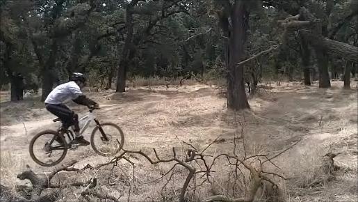 A person wearing a helmet and riding a mountain bike is airborne over a fallen branch, surrounded by a wooded area with dry grass and trees. Ripon Riding Spot mountain bike trail.