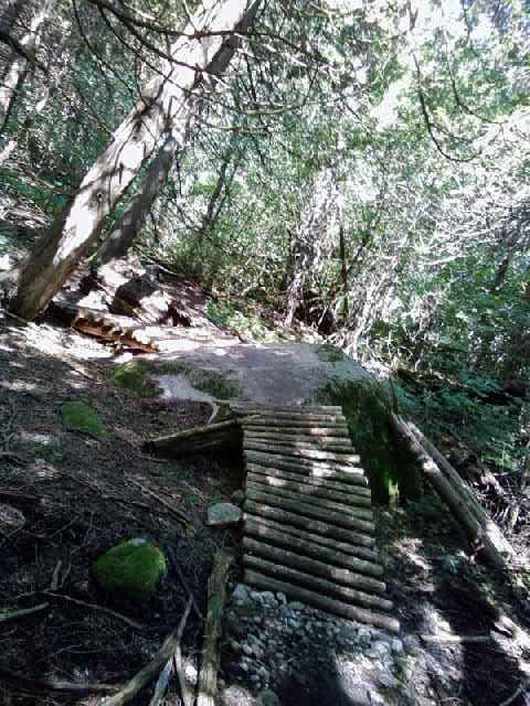 A narrow wooden bridge made of logs crosses a small rocky area in a dense forest, surrounded by tall trees and lush greenery. Sunlight filters through the leaves, casting dappled shadows on the ground. Harold Town Ca mountain bike trail.