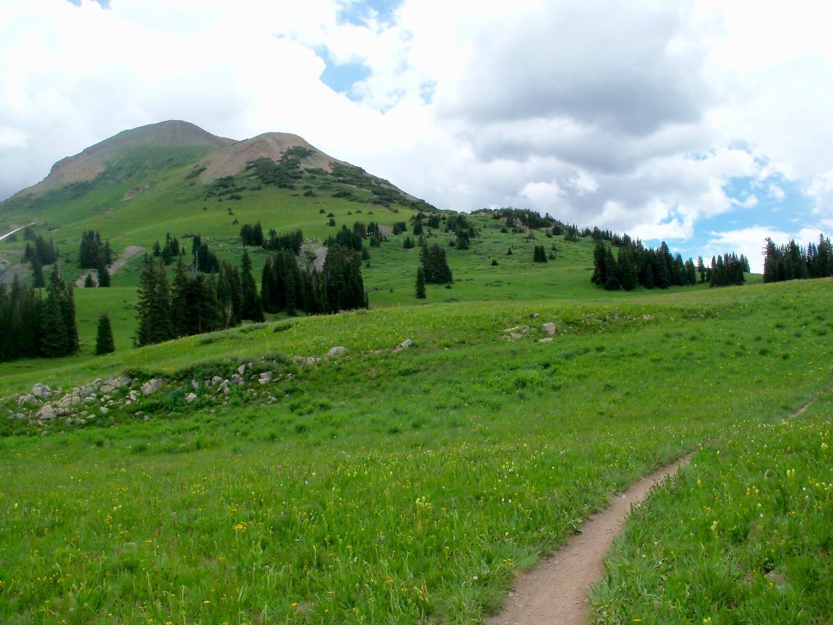 A scenic view of a green hillside with a dirt path winding through a meadow, surrounded by trees and under a partly cloudy sky. The landscape features a mix of grass and wildflowers, leading up to a mountain in the background. Trail 401 mountain bike trail.