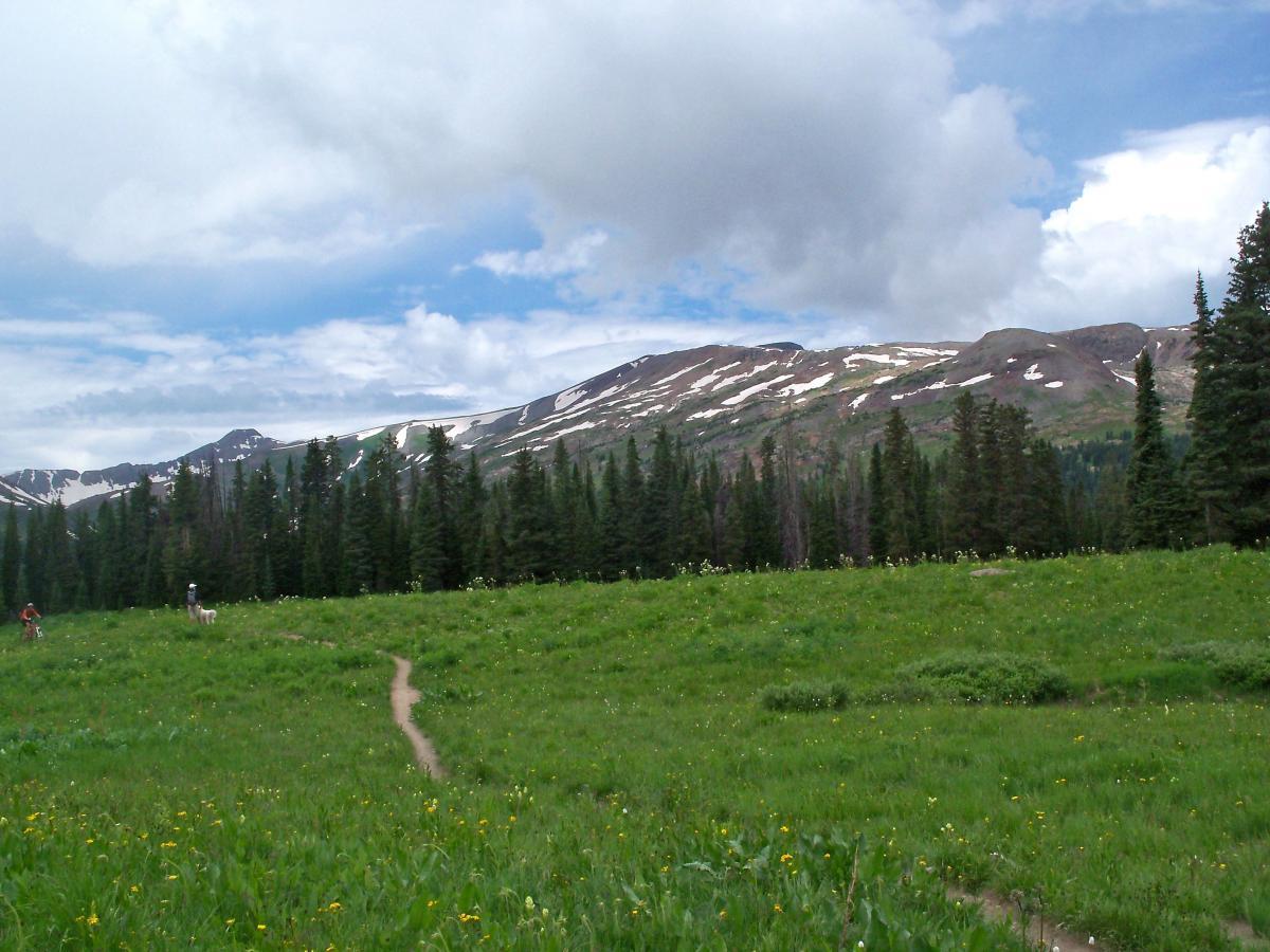 A scenic view of a green meadow surrounded by tall pine trees and snow-capped mountains under a partly cloudy sky. A winding dirt path leads through the lush grass, inviting exploration. Trail 401 mountain bike trail.