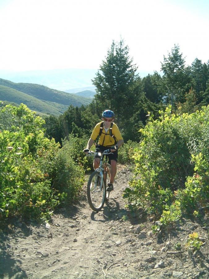 A person riding a mountain bike on a dirt trail surrounded by greenery and trees, with rolling hills visible in the background under a clear sky. Sardine Peak Loop mountain bike trail.