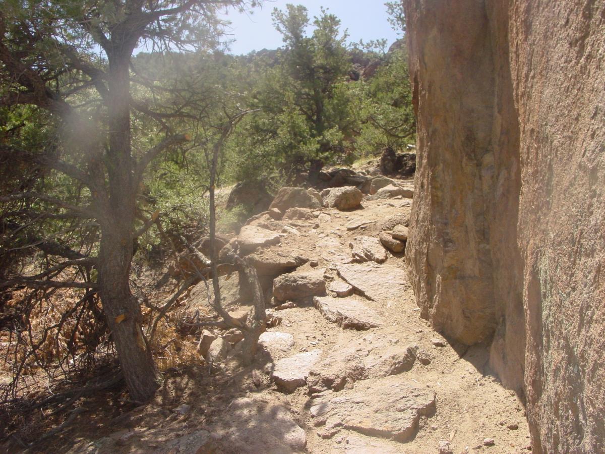 A rocky trail winds through a sunlit forest, flanked by green shrubs and trees. The ground is uneven with scattered stones and patches of dirt, suggesting a natural hiking path in a rugged outdoor setting. Arkansas Hills mountain bike trail.