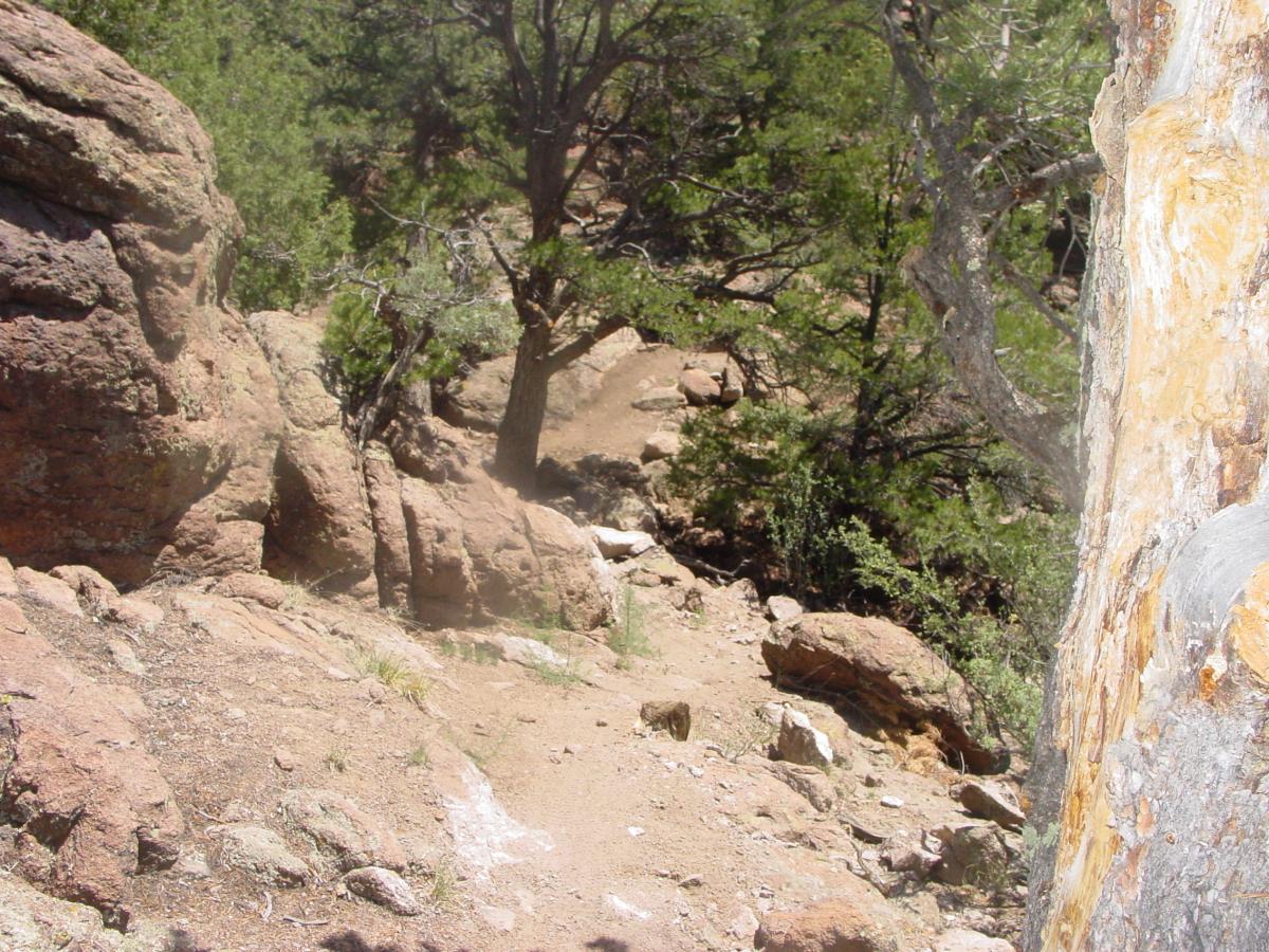Rocky terrain with scattered boulders and dense greenery in the background, depicting a natural outdoor landscape. Arkansas Hills mountain bike trail.