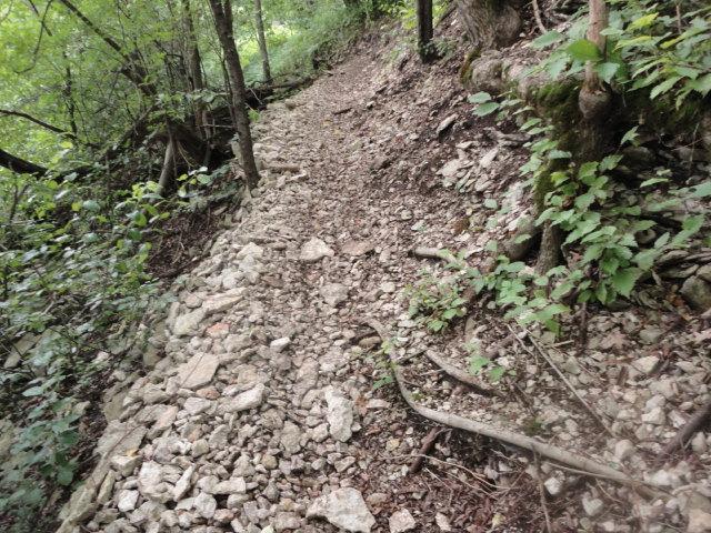 A rocky trail surrounded by lush greenery, featuring scattered stones and compacted earth, leading through a forested area. Palisades Park mountain bike trail.