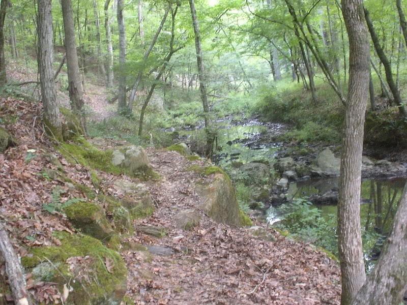 A serene wooded path alongside a gently flowing stream, surrounded by lush green foliage and scattered rocks. The ground is covered with fallen leaves, creating a natural, tranquil atmosphere in a forest setting. Wine Creek mountain bike trail.