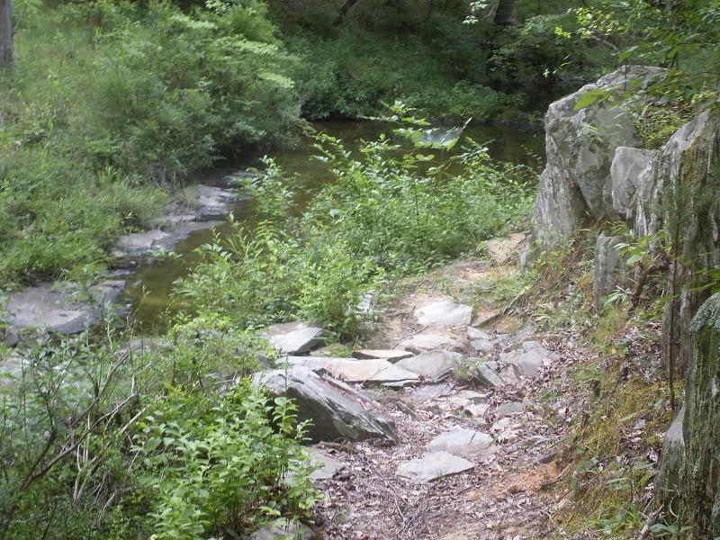 A narrow, rocky path leads down to a serene, shallow stream surrounded by lush greenery. The area features boulders and various plants, creating a tranquil natural setting. Wine Creek mountain bike trail.