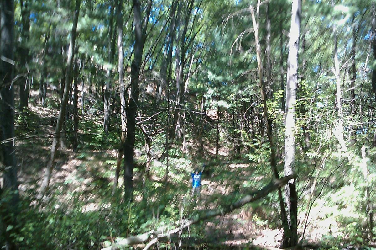A blurred image of a dense forest with tall trees and scattered underbrush, showcasing green foliage and a steep, ascending path. A person dressed in a blue shirt is visible in the distance, partially obscured by the trees. The scene captures a natural, sunlit environment. Horn Pond mountain bike trail.