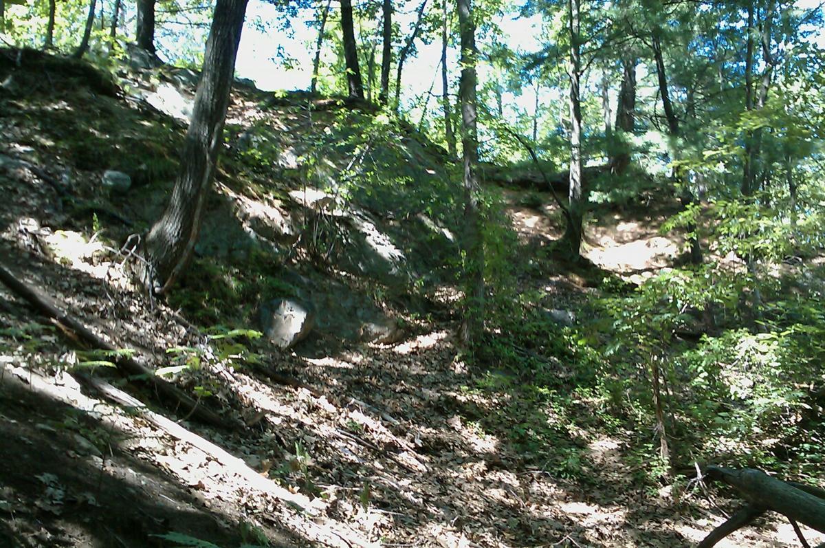 A wooded area featuring a rocky slope, with sunlight filtering through the trees. The ground is covered with fallen leaves and scattered rocks, while green foliage is seen among the trees. Horn Pond mountain bike trail.