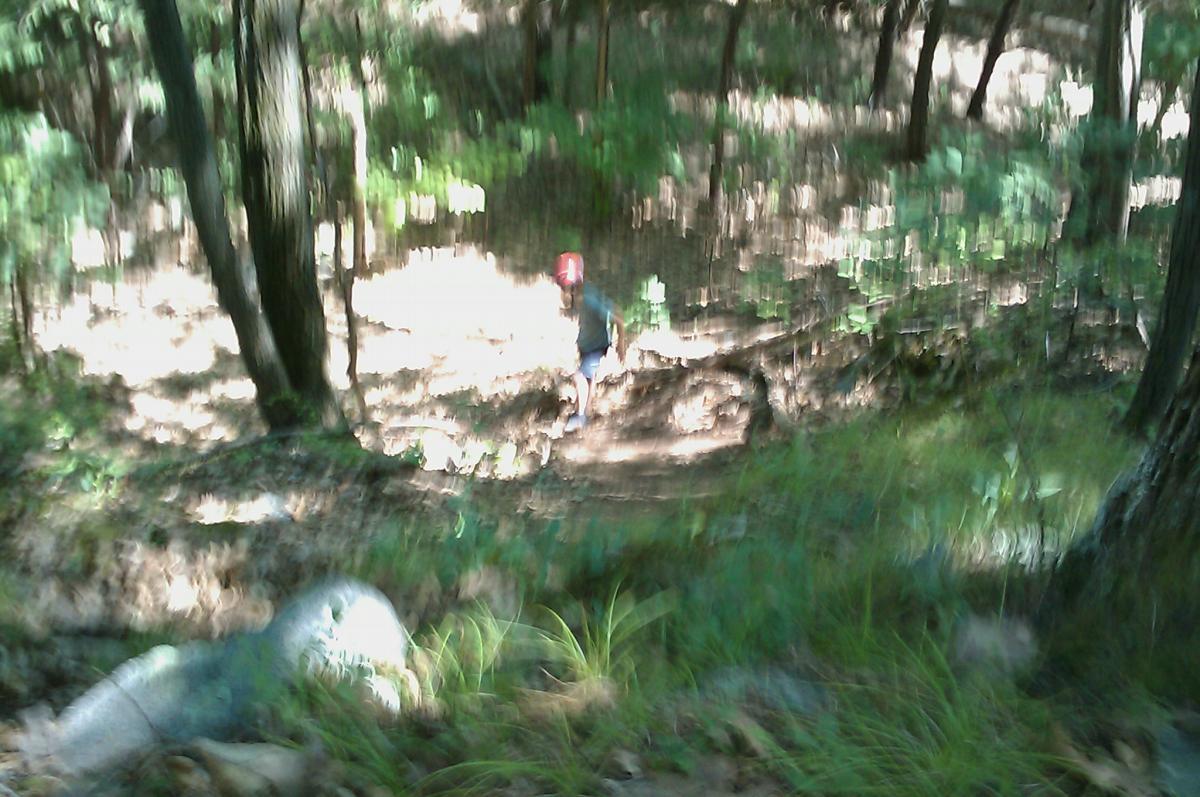 A person wearing a red helmet walks along a forest trail, surrounded by trees and dappled sunlight filtering through the leaves. The image appears slightly blurred, with a focus on the path and the natural surroundings. Horn Pond mountain bike trail.