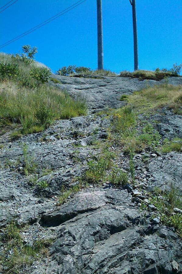 A rocky slope covered with patches of grass and small plants, leading up towards a clear blue sky. In the background, two power poles can be seen. Horn Pond mountain bike trail.