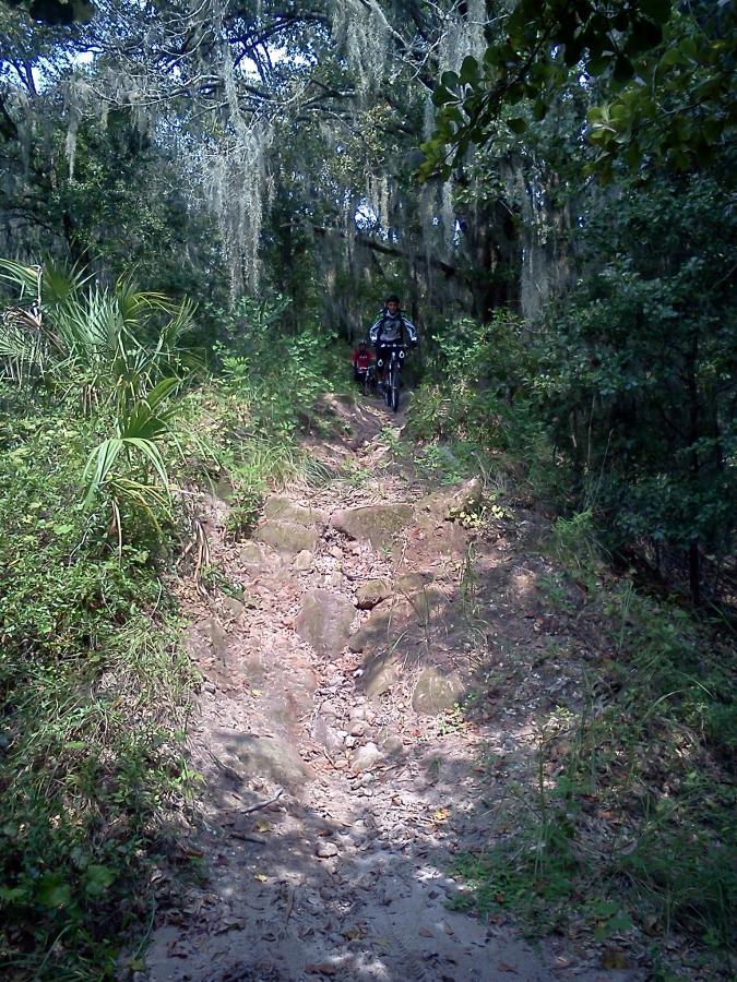 A cyclist navigating a rocky, overgrown trail surrounded by dense greenery and Spanish moss hanging from trees. The path is uneven with exposed rocks and dirt, indicating a rugged outdoor terrain. Alafia River State Park mountain bike trail.