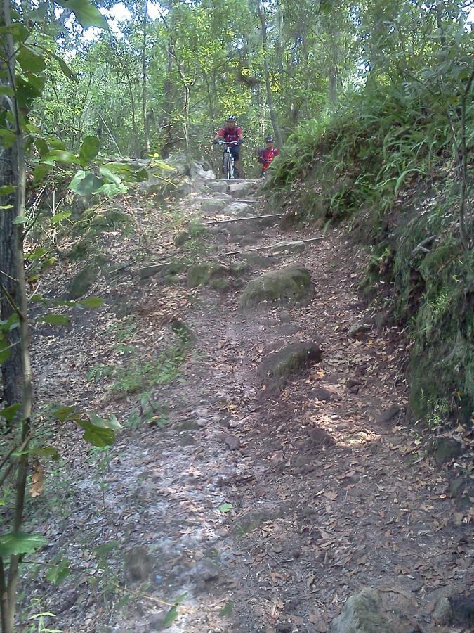 A rocky, forested hiking trail with a person riding a bicycle uphill, surrounded by lush greenery and scattered leaves on the ground. Alafia River State Park mountain bike trail.