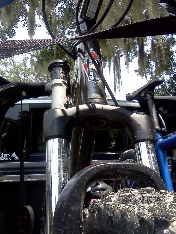 A close-up view of a mountain bike secured in the back of a pickup truck, with visible suspension forks and a dirty tire. Trees with hanging moss are blurred in the background. Alafia River State Park mountain bike trail.