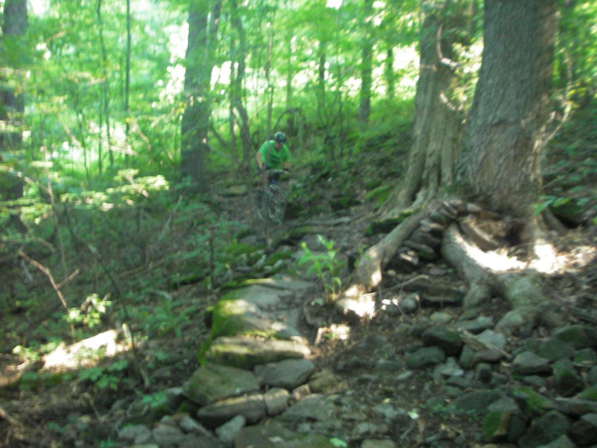 A cyclist in a green shirt navigates a rocky trail through a dense, green forest. Sunlight filters through the leaves, illuminating the surrounding foliage and highlighting the natural terrain. West Branch mountain bike trail.