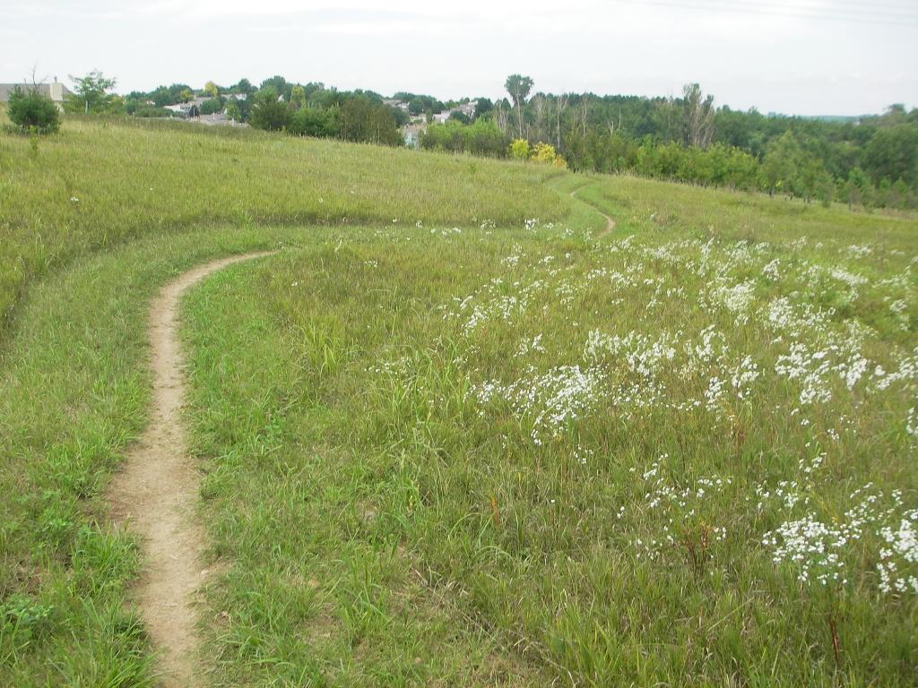 A winding dirt path through a grassy field adorned with small white flowers, leading towards a distant neighborhood and tree line under a cloudy sky. Tranquility mountain bike trail.