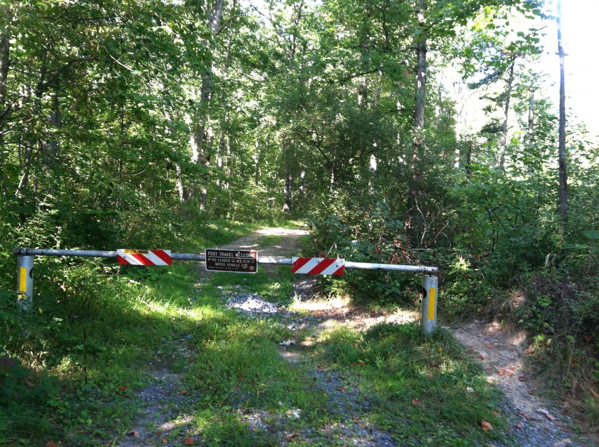 A forest path blocked by a barrier, with a sign indicating that foot travel is welcome while the area is closed to motor vehicles. Lush greenery surrounds the path, creating a serene natural setting. Sherando Lakes Recreation Area mountain bike trail.