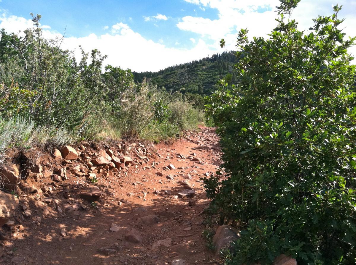 A rugged dirt path lined with shrubs and small trees, leading through a scenic, hilly landscape under a partly cloudy sky. The path is surrounded by rocky terrain and vibrant greenery, suggesting a natural outdoor setting for hiking or exploration. Deer Creek Canyon mountain bike trail.