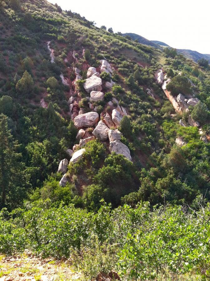 A rocky hillside covered in green vegetation, featuring large boulders scattered across the slope. The landscape is set against a bright sky, showcasing a natural mountainous environment. Deer Creek Canyon mountain bike trail.