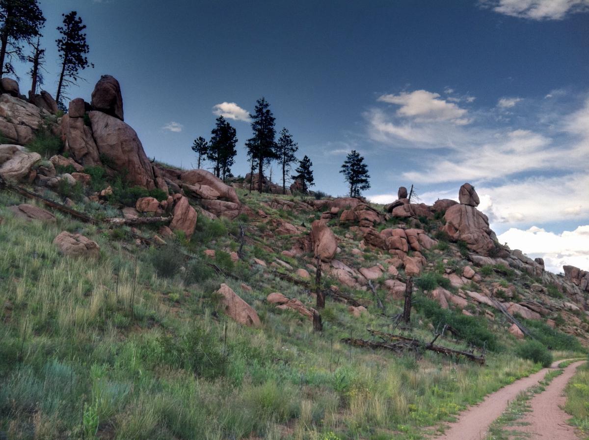 A rocky hillside covered with patches of green grass, trees, and scattered boulders under a partly cloudy blue sky. A dirt path winds through the foreground, leading up the slope. Colorado Trail: Redskin Mountain mountain bike trail.