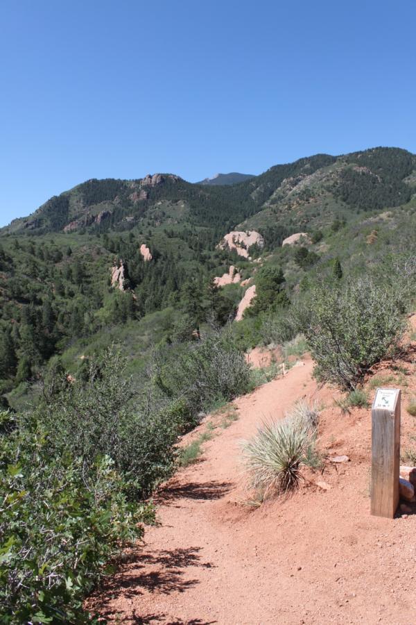 A winding dirt trail surrounded by dense greenery, leading towards majestic mountains under a clear blue sky. A trail marker stands to the right, indicating the path for hikers. Red Rock Canyon mountain bike trail.