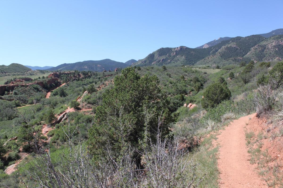 A winding dirt path leads through a lush green landscape, surrounded by rolling hills and mountains under a clear blue sky. The scene features various shrubs and trees, with rocky formations visible in the distance. Red Rock Canyon mountain bike trail.