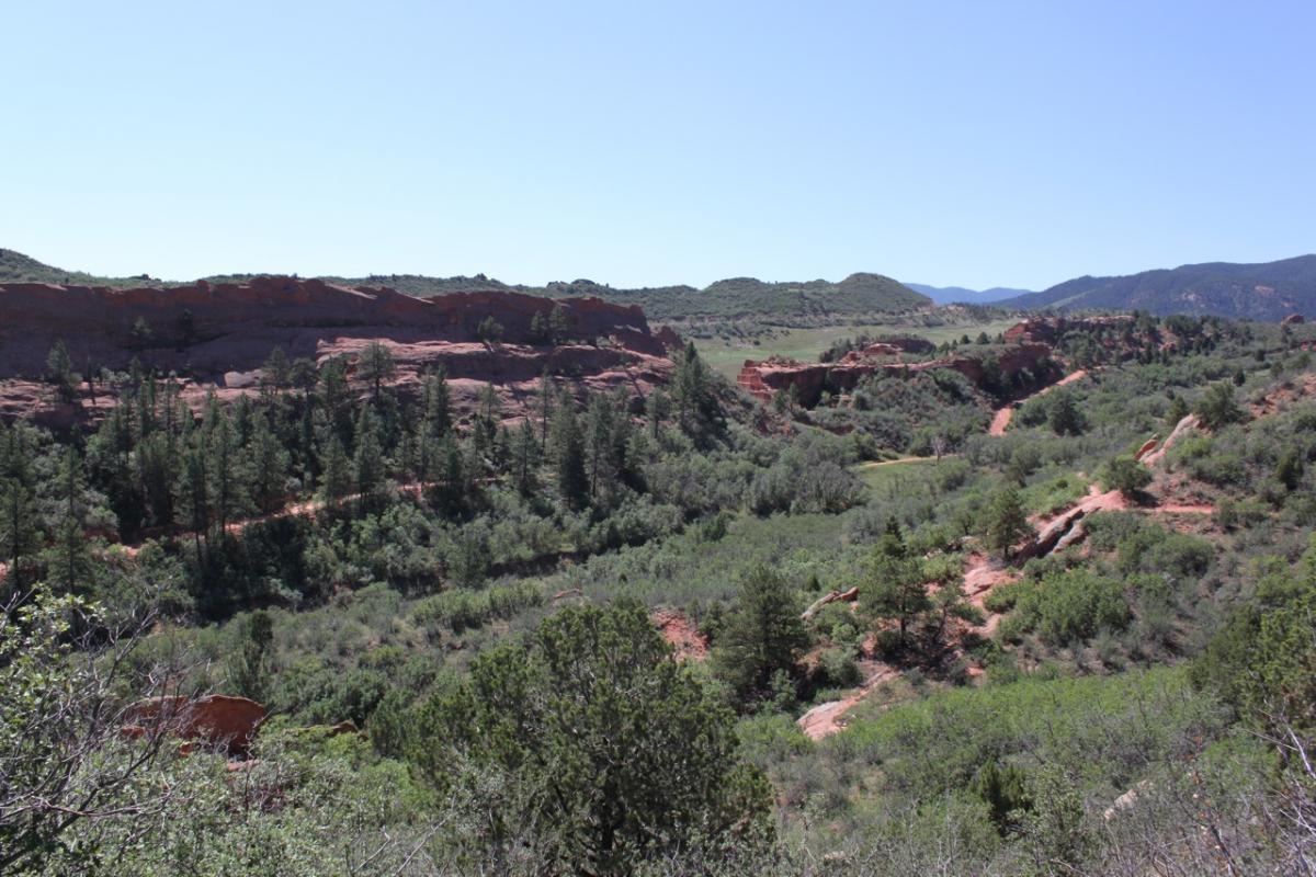 A scenic view of a canyon landscape featuring red rock formations and lush green vegetation, with trees scattered throughout and distant hills under a clear blue sky. Red Rock Canyon mountain bike trail.