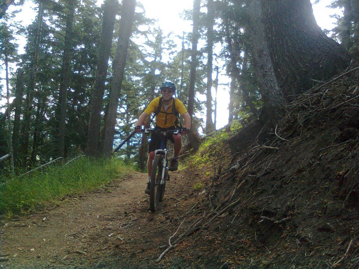 A person riding a mountain bike along a dirt trail in a forested area, surrounded by tall trees and green grass. The cyclist is wearing a yellow shirt and a helmet, and is smiling while navigating the path. Sunlight filters through the trees, creating a bright atmosphere. Sardine Peak Loop mountain bike trail.