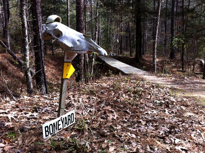A weathered sign labeled "BONEYARD" on a post, accompanied by a distinctive skull mounted above it. The scene is set in a dense forest with fallen leaves and a wooden boardwalk leading deeper into the woods. Mt. Zion Bike Trails mountain bike trail.