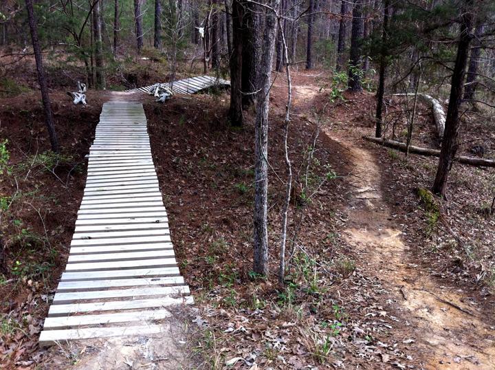 A wooden pathway winding through a forested area, with two diverging trails; one made of wooden planks and the other a natural dirt path, surrounded by trees and scattered leaves. Mt. Zion Bike Trails mountain bike trail.