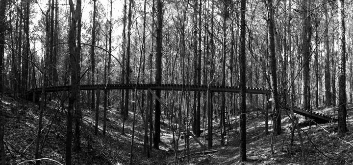 A black and white panoramic image of a wooden bridge winding through a dense forest. Tall trees surround the bridge, which is slightly elevated above the ground, creating a natural pathway amongst the foliage and underbrush. Mt. Zion Bike Trails mountain bike trail.