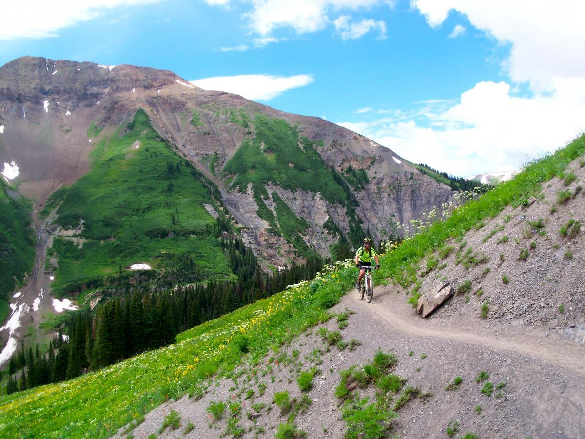 A mountain biker riding along a winding dirt trail on a lush green hillside, surrounded by steep mountains under a blue sky with fluffy clouds. The landscape features wildflowers, trees, and patches of snow on the higher elevations. Trail 401 mountain bike trail.
