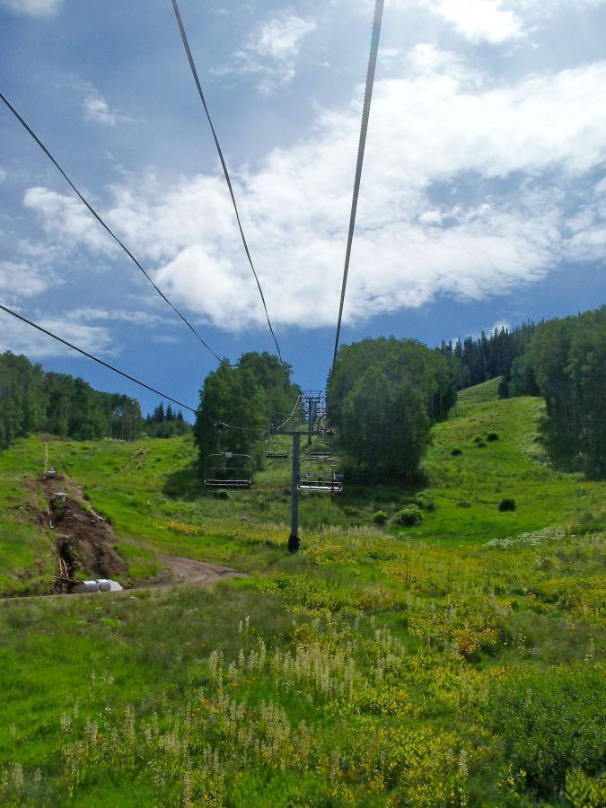 A ski lift traverses a verdant landscape under a partly cloudy sky, with green hills and clusters of trees in the background. Freshly mowed grass and wildflowers add color to the scene. Evolution Bike Park at Crested Butte Mountain Resort mountain bike trail.