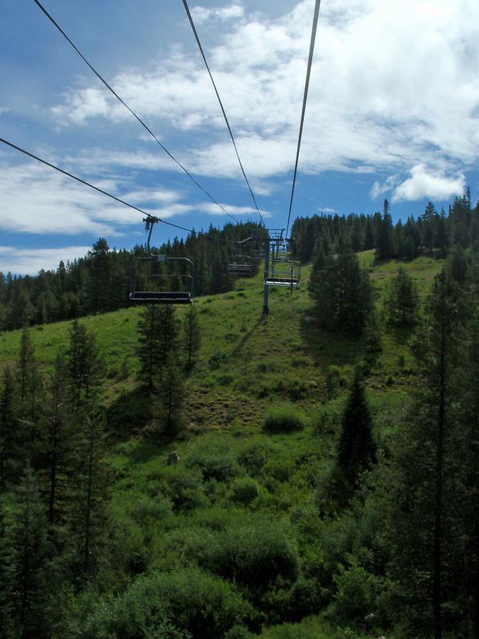 A scenic view from a ski lift overlooking a lush, green hillside, dotted with trees under a partly cloudy sky. Evolution Bike Park at Crested Butte Mountain Resort mountain bike trail.