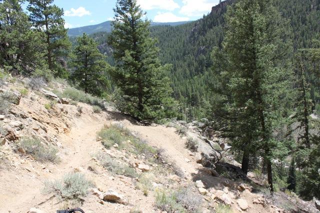 A winding dirt trail surrounded by tall pine trees, leading through a mountainous landscape. The scene shows a rugged terrain with rocky patches and shrubs, under a bright blue sky with scattered clouds. Doctor Park mountain bike trail.
